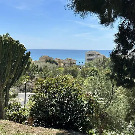 Daire Estudio Centrico Agata