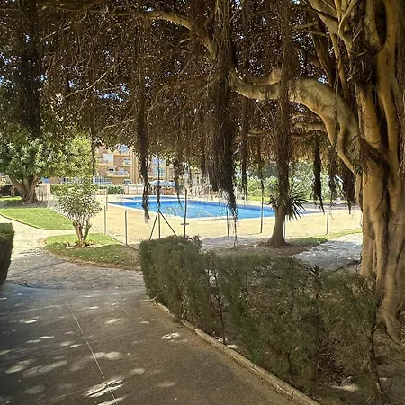 Apartment Estudio Agata Con Piscina A 800m De La Playa *